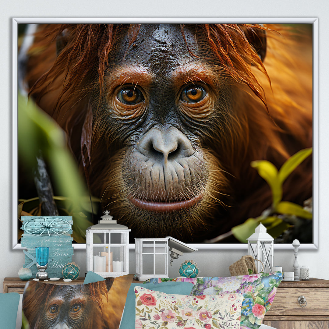 Orangutan Photo Portrait - Orangutan Living Room Wall Art