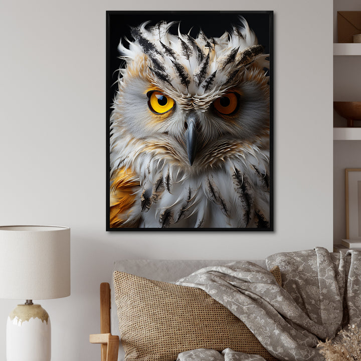 Grey Owl Animal Monochrome National - Owl Wall Decor