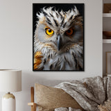 Grey Owl Animal Monochrome National - Owl Wall Decor