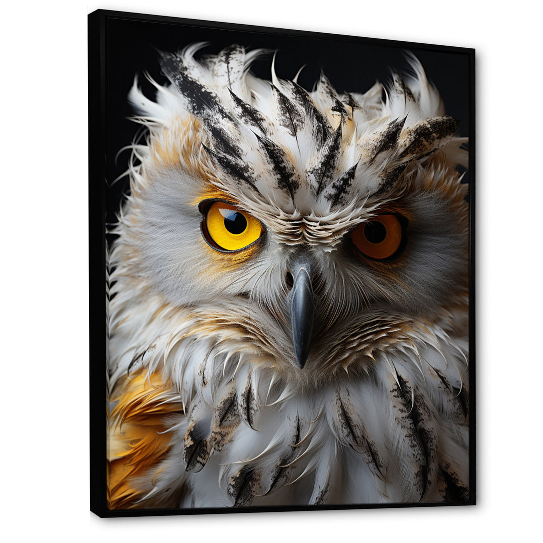Grey Owl Animal Monochrome National - Owl Wall Decor