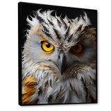 Grey Owl Animal Monochrome National - Owl Wall Decor