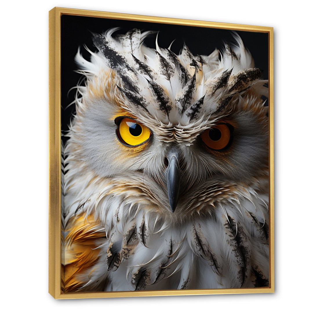 Grey Owl Animal Monochrome National - Owl Wall Decor