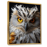 Grey Owl Animal Monochrome National - Owl Wall Decor