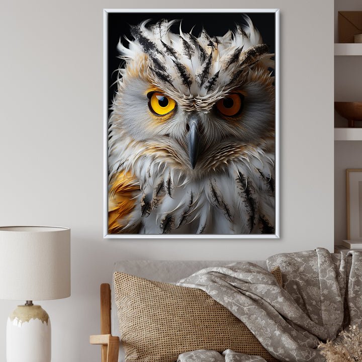 Grey Owl Animal Monochrome National - Owl Wall Decor