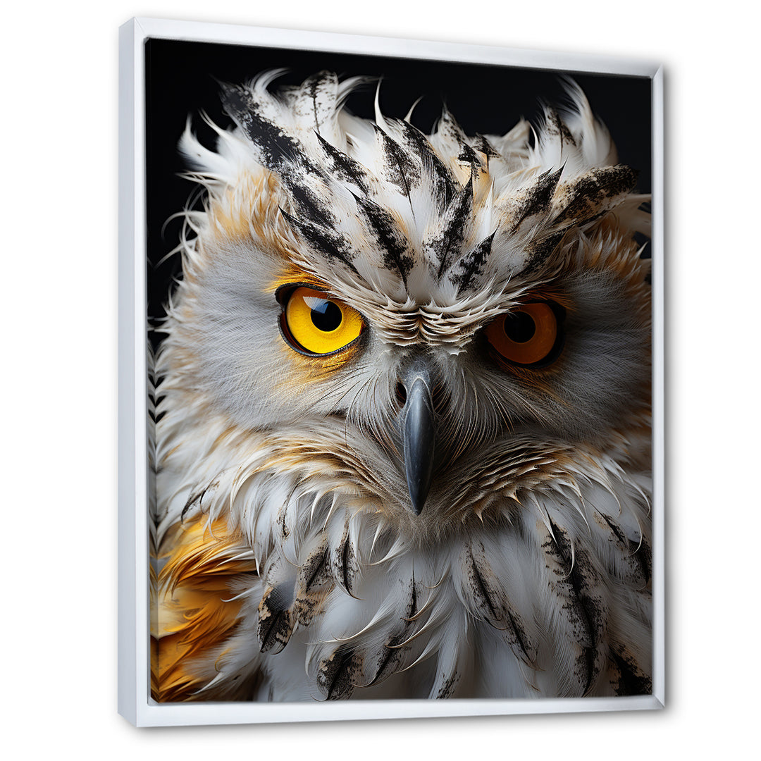 Grey Owl Animal Monochrome National - Owl Wall Decor