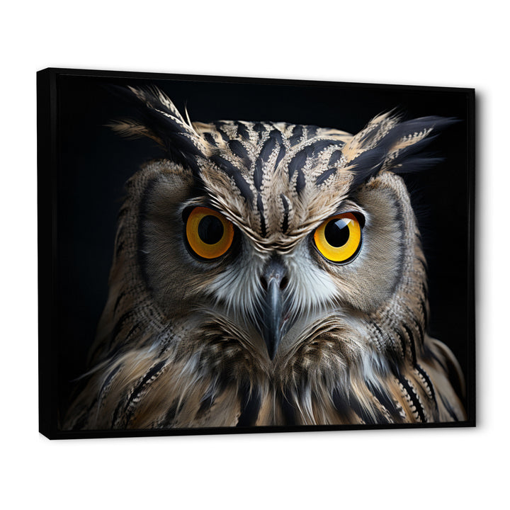 Black White Owl Portrait - Owl Living Room Wall Art