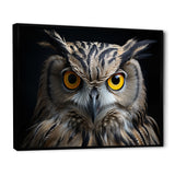 Black White Owl Portrait - Owl Living Room Wall Art