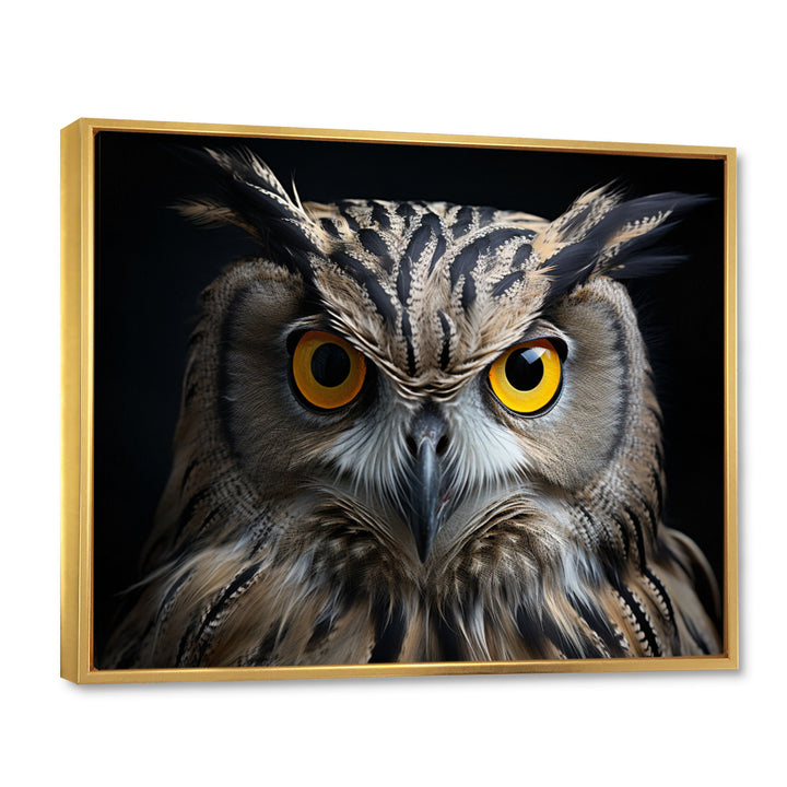 Black White Owl Portrait - Owl Living Room Wall Art