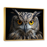 Black White Owl Portrait - Owl Living Room Wall Art
