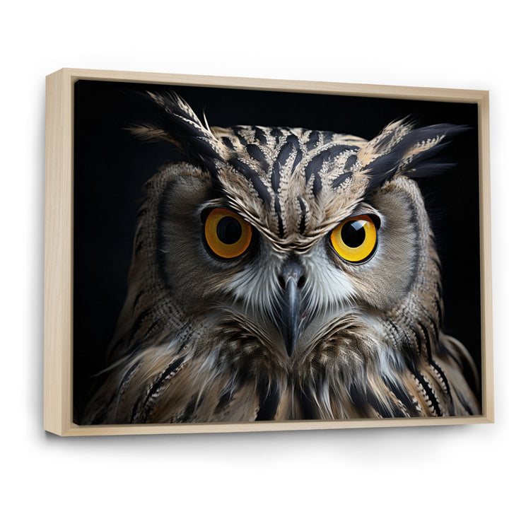 Black White Owl Portrait - Owl Living Room Wall Art