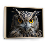 Black White Owl Portrait - Owl Living Room Wall Art