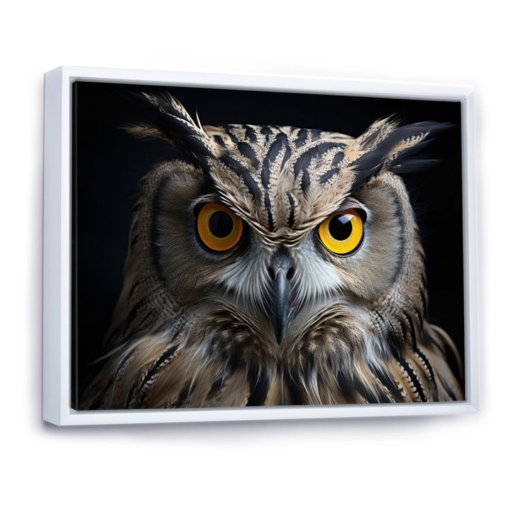 Black White Owl Portrait - Owl Living Room Wall Art