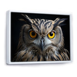 Black White Owl Portrait - Owl Living Room Wall Art