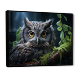 Grey Owl Portrait - Owl Bedroom Wall Art