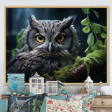 Grey Owl Portrait - Owl Bedroom Wall Art