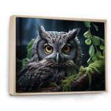 Grey Owl Portrait - Owl Bedroom Wall Art