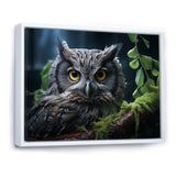 Grey Owl Portrait - Owl Bedroom Wall Art