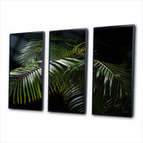 Palm Trees Symphony I - Multi-Panels