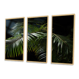 Palm Trees Symphony I - Multi-Panels