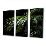 Palm Trees Symphony II - Multi-Panels