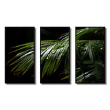 Palm Trees Symphony II - Multi-Panels