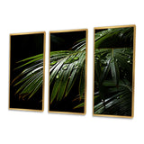 Palm Trees Symphony II - Multi-Panels