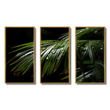 Palm Trees Symphony II - Multi-Panels