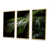 Palm Trees Symphony II - Multi-Panels