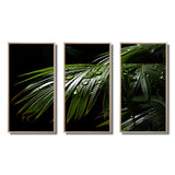Palm Trees Symphony II - Multi-Panels