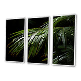 Palm Trees Symphony II - Multi-Panels