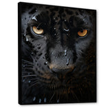 Black White Panther Abstract Encounter - Panther Wall Art Prints