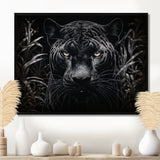 Black White Panther Nocturnal Majesty Scratchboard - Panther Wall Art Prints