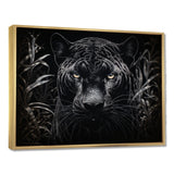 Black White Panther Nocturnal Majesty Scratchboard - Panther Wall Art Prints