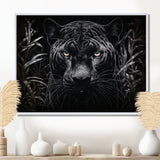 Black White Panther Nocturnal Majesty Scratchboard - Panther Wall Art Prints