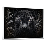 Black White Panther Nocturnal Majesty Scratchboard - Panther Wall Art Prints