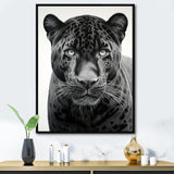 Grey White Panther Realistic Gaze - Panther Framed Canvas Art
