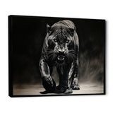 Black White Panther Shadows Grace Charcoal - Panther Living Room Wall Art