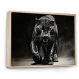 Black White Panther Shadows Grace Charcoal - Panther Living Room Wall Art