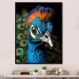Peacock Animal Portrait - Peacock Canvas Wall Art