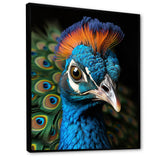 Peacock Animal Portrait - Peacock Canvas Wall Art