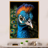 Peacock Animal Portrait - Peacock Canvas Wall Art