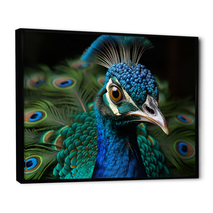 Teal Green Peacock Portrait - Peacock Wall Decor