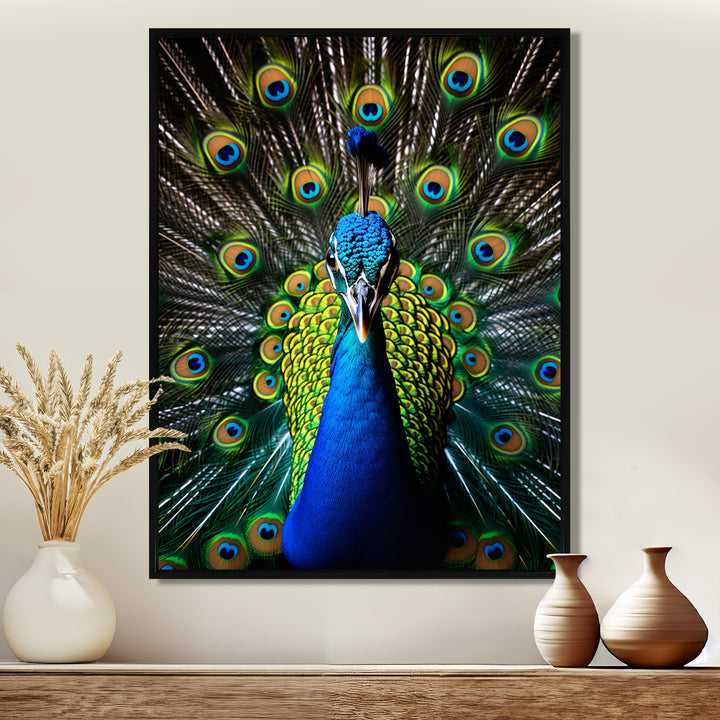 Teal Radiant Peacock - Teal Peacock Wall Art