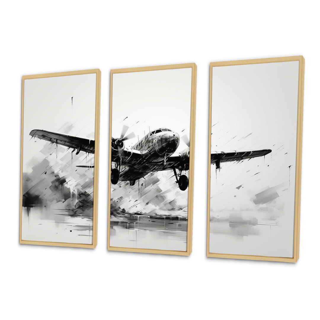 Expressive Plane Airborne - Canvas Multipanels Set of 3