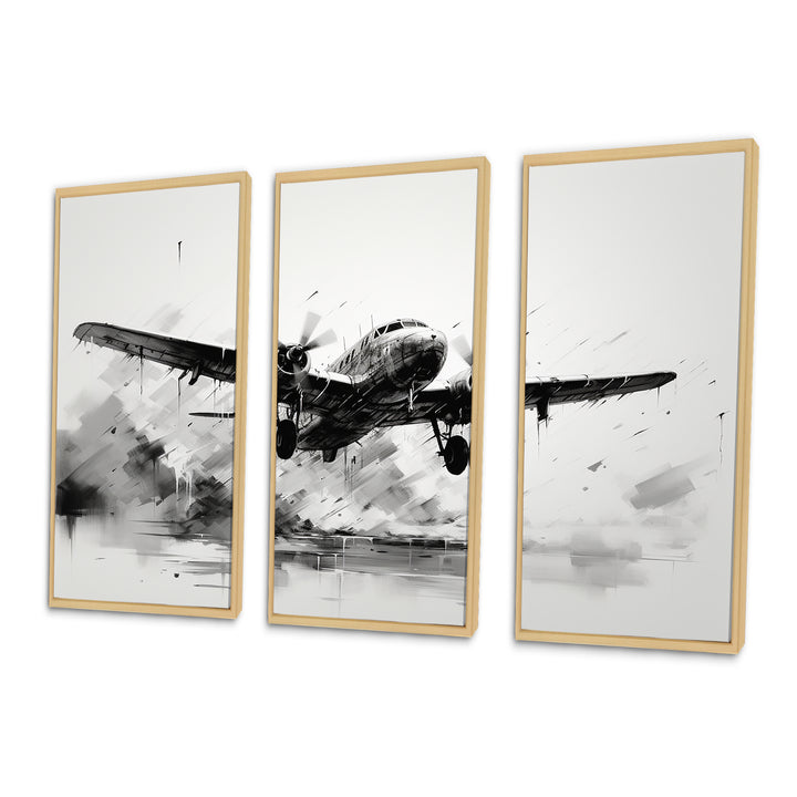 Expressive Plane Airborne - Canvas Multipanels Set of 3