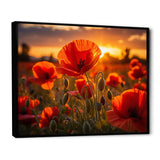 Red Poppies Field With Sunset II - Floral Canvas Wall Art