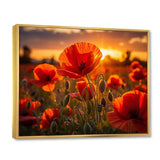 Red Poppies Field With Sunset II - Floral Canvas Wall Art