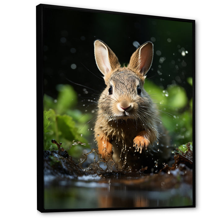 Rabbit Energetic Hopper - Rabbit Canvas Wall Art
