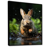 Rabbit Energetic Hopper - Rabbit Canvas Wall Art