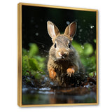 Rabbit Energetic Hopper - Rabbit Canvas Wall Art